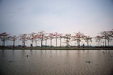 唤醒你的宝可梦记忆 宝可梦官方推出线上展